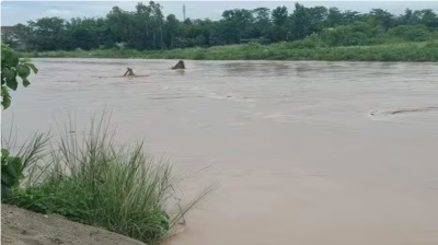 मालन, लकड़हान और कोटावाली नदी में उफान, बिजनौर-हरिद्वार मार्ग बंद